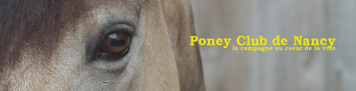 Poney Club de Nancy